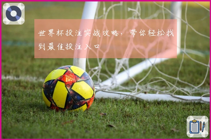 世界杯投注实战攻略,带你轻松找到最佳投注入口