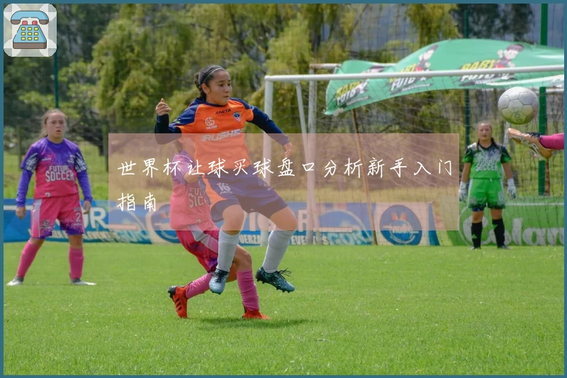 世界杯让球买球盘口分析新手入门指南