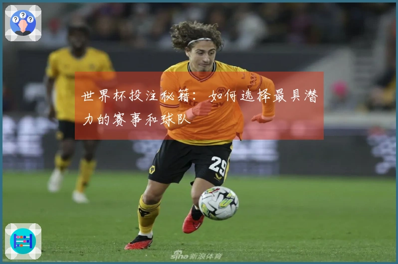 世界杯投注秘籍：如何选择最具潜力的赛事和球队