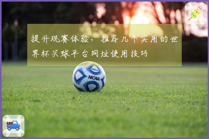 提升观赛体验，推荐几个实用的世界杯买球平台网址使用技巧