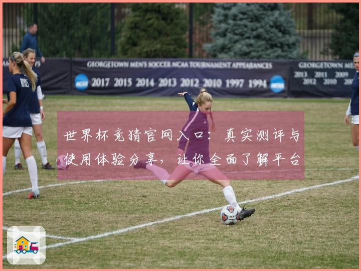 世界杯竞猜官网入口：真实测评与使用体验分享，让你全面了解平台功能