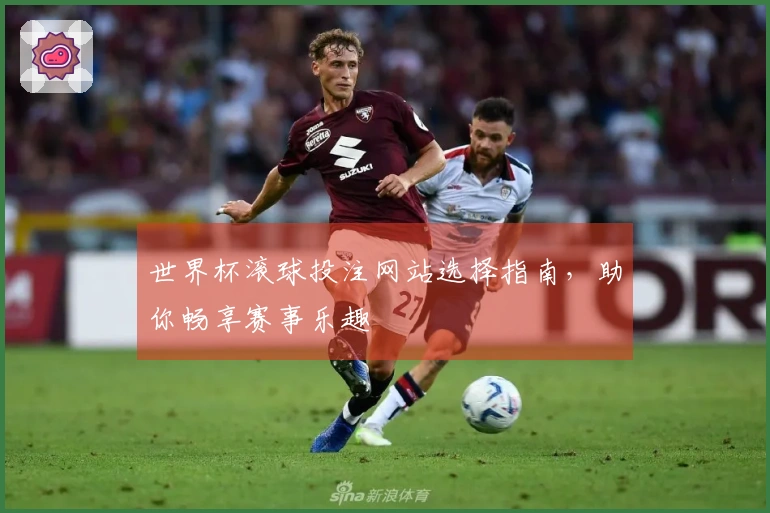 世界杯滚球投注网站选择指南，助你畅享赛事乐趣