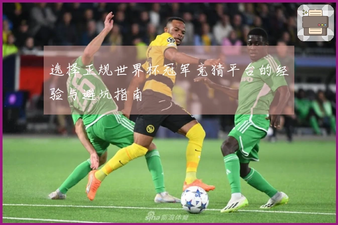 选择正规世界杯冠军竞猜平台的经验与避坑指南