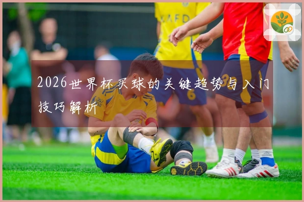 2026世界杯买球的关键趋势与入门技巧解析