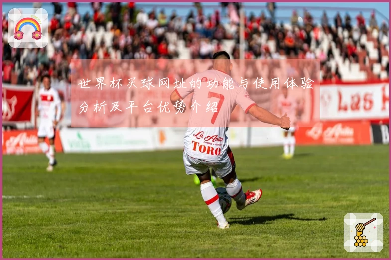 世界杯买球网址的功能与使用体验分析及平台优势介绍