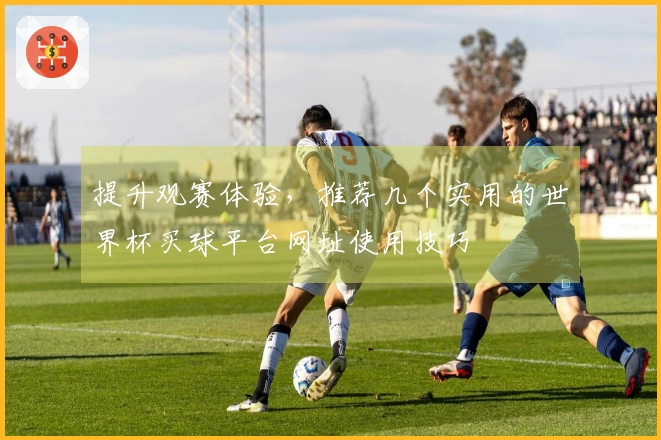 提升观赛体验，推荐几个实用的世界杯买球平台网址使用技巧