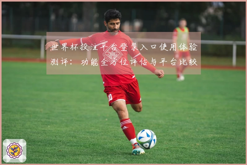 世界杯投注平台登录入口使用体验测评：功能全方位评估与平台比较