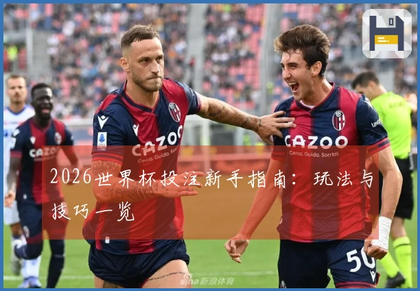 2026世界杯投注新手指南：玩法与技巧一览