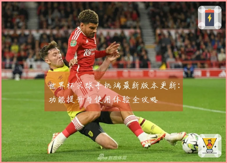 世界杯买球手机端最新版本更新：功能提升与使用体验全攻略