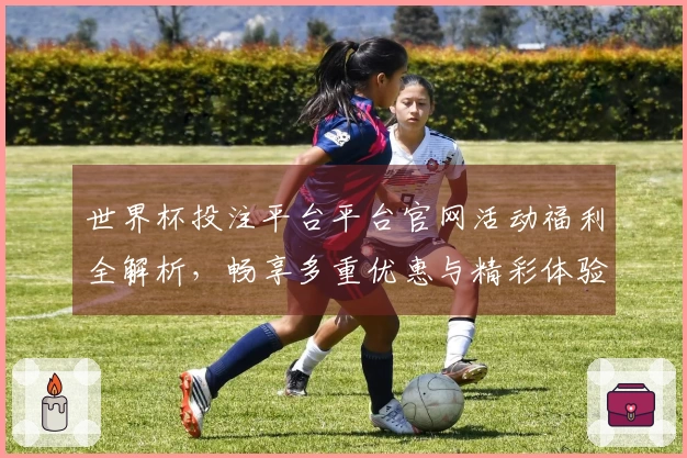 世界杯投注平台平台官网活动福利全解析，畅享多重优惠与精彩体验