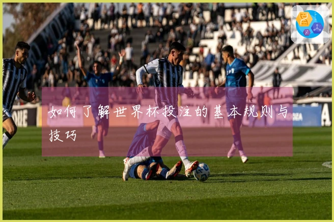 如何了解世界杯投注的基本规则与技巧