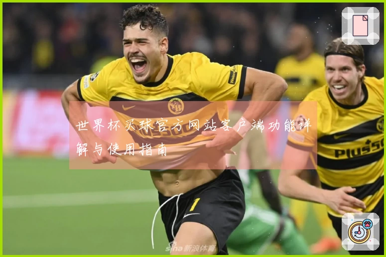 世界杯买球官方网站客户端功能详解与使用指南